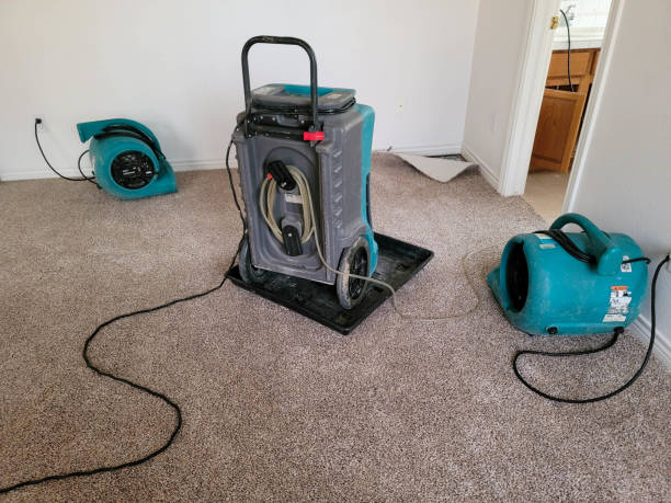 Best 24/7 water damage repair  in Anoka, MN