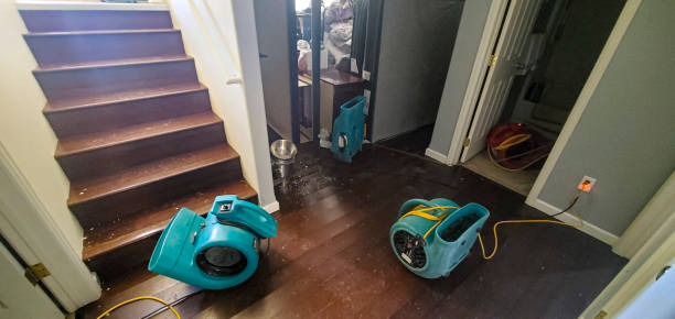 Best Commercial water damage restoration  in Anoka, MN