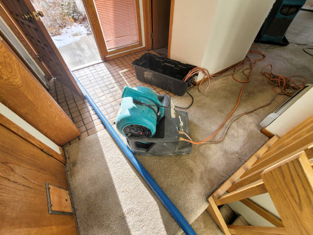  Anoka, MN Water damage restoration Pros