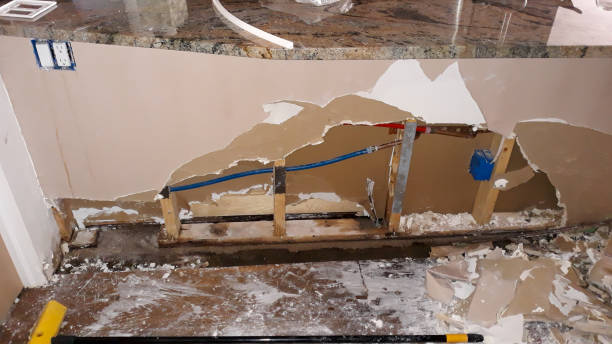 Best Professional water damage repair  in Anoka, MN