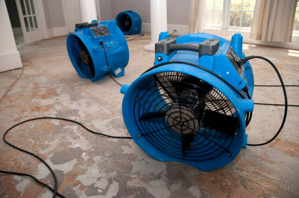 Professional Water damage restoration in MN