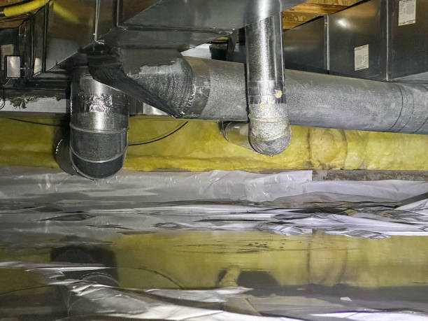 Best Sewage cleanup and water damage restoration  in Anoka, MN