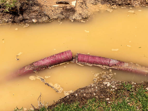 Best Local water damage restoration  in Anoka, MN