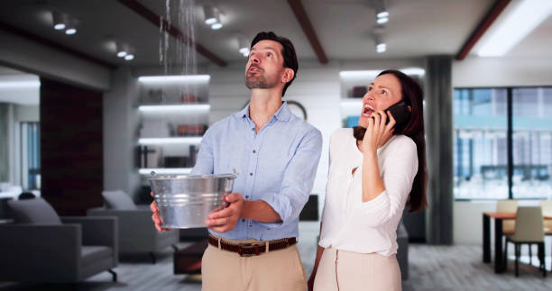 Best Water damage restoration services  in Anoka, MN